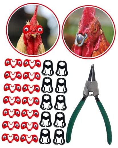 A Set of 100PCS, 50PCS Pinless Chicken Peepers with Googly Eyes, 50PCS L