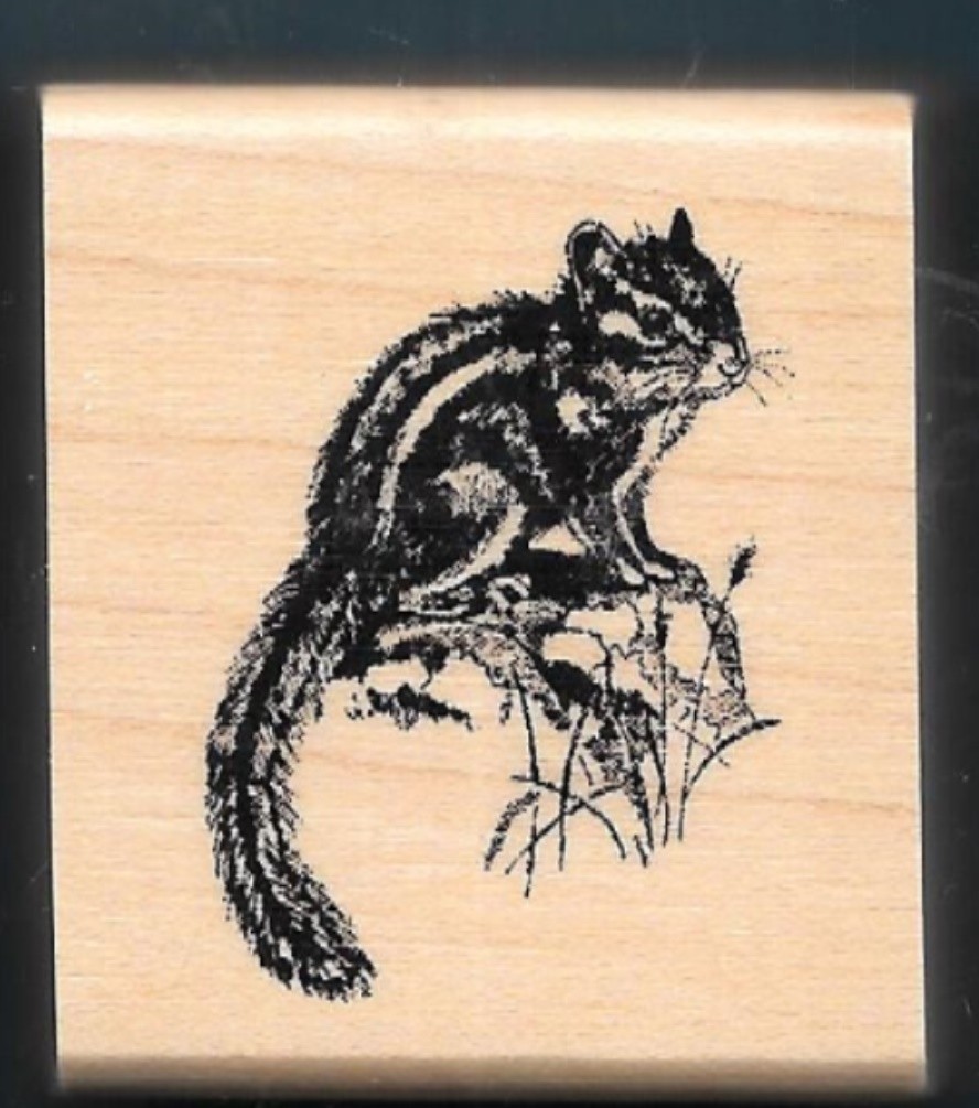 CHIPMUNK WILDLIFE ANIMAL Nature Landscap INKADINKADO NEW wood Mount Rubber Stamp