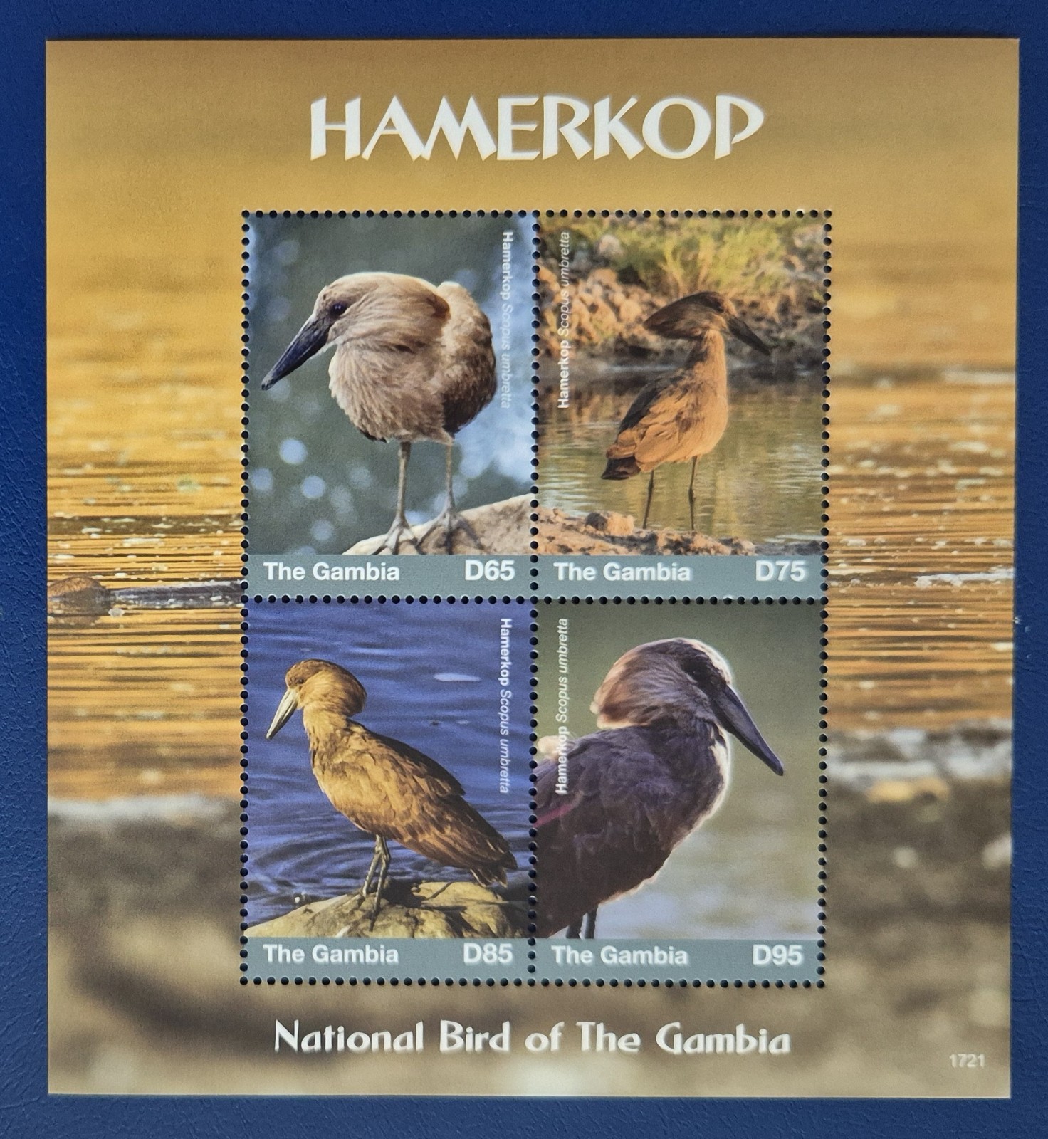 Gambia 2018 / Birds - National Bird of The Gambia - Hamerkop / 4v ms