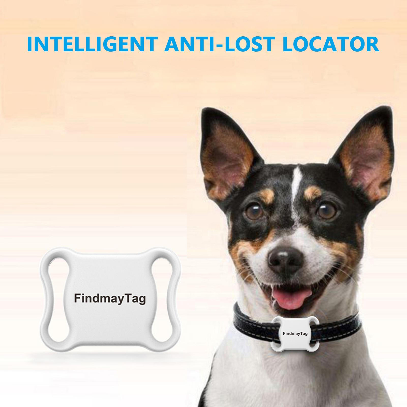 Mini Pet GPS Tracker Waterproof Collar for Cat Dog Locator GPS GSM Alarm Tracker