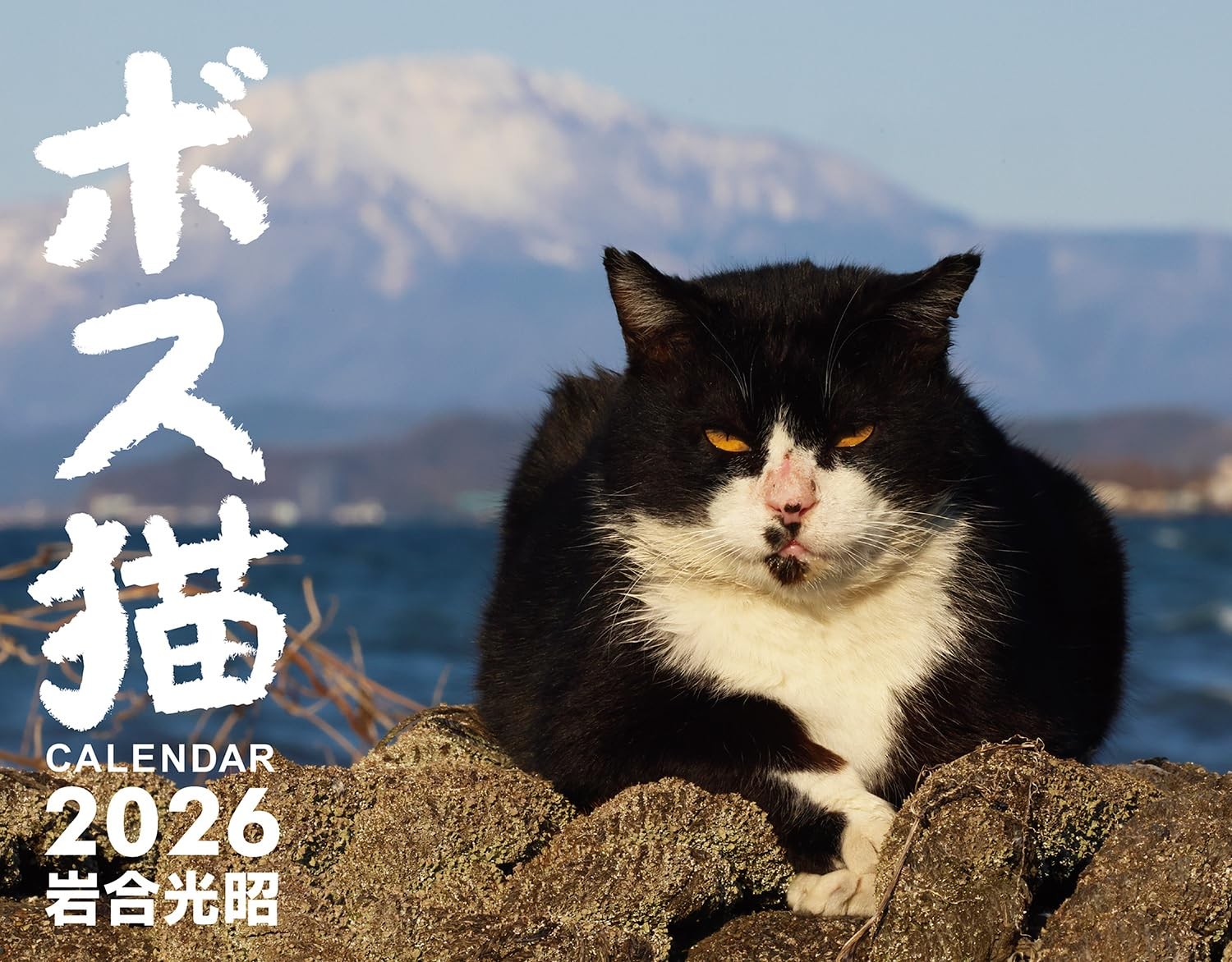 Boss Cat Wall Calendar 2026 Mitsuaki Iwago 11.7×15in Japanese Style New