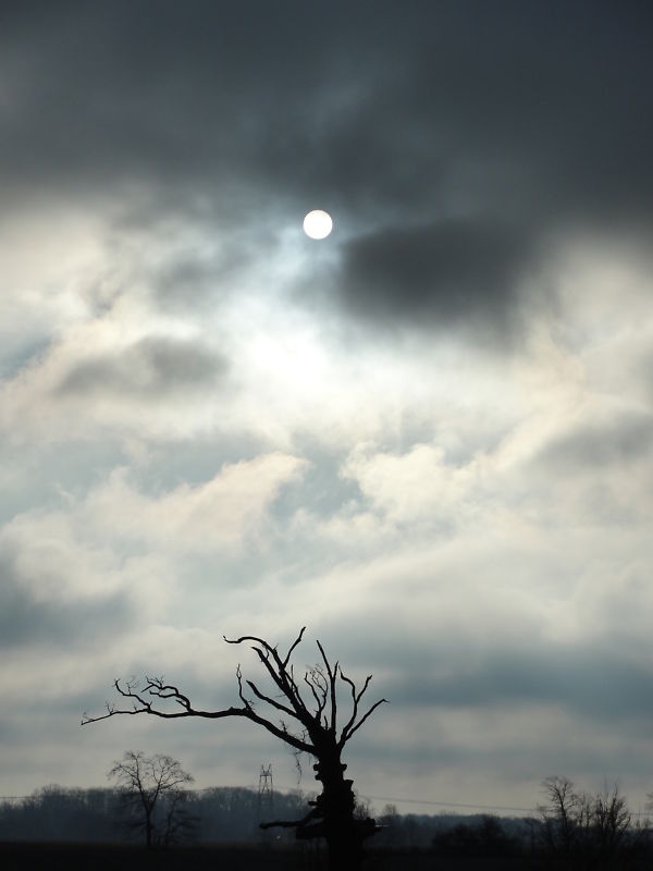 Lost Country Gothic Sunrise Mean Clouds Wicked Tree Haunting Erie Dark Night