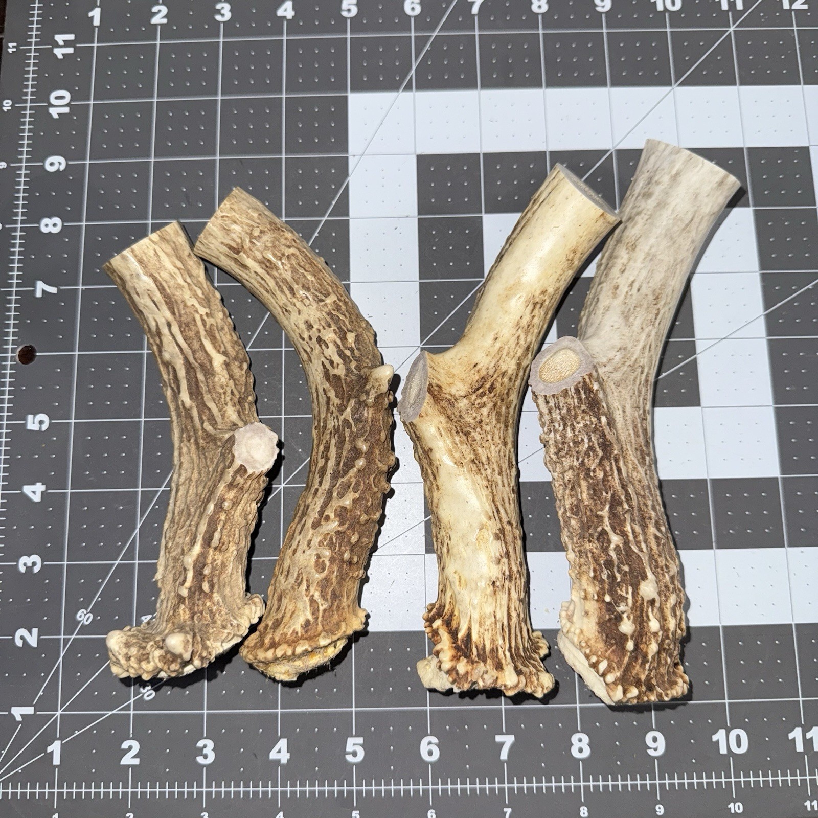 Lot Of 4 Whitetail Deer Antler Base knife handle / sheds antler whitetail deer E