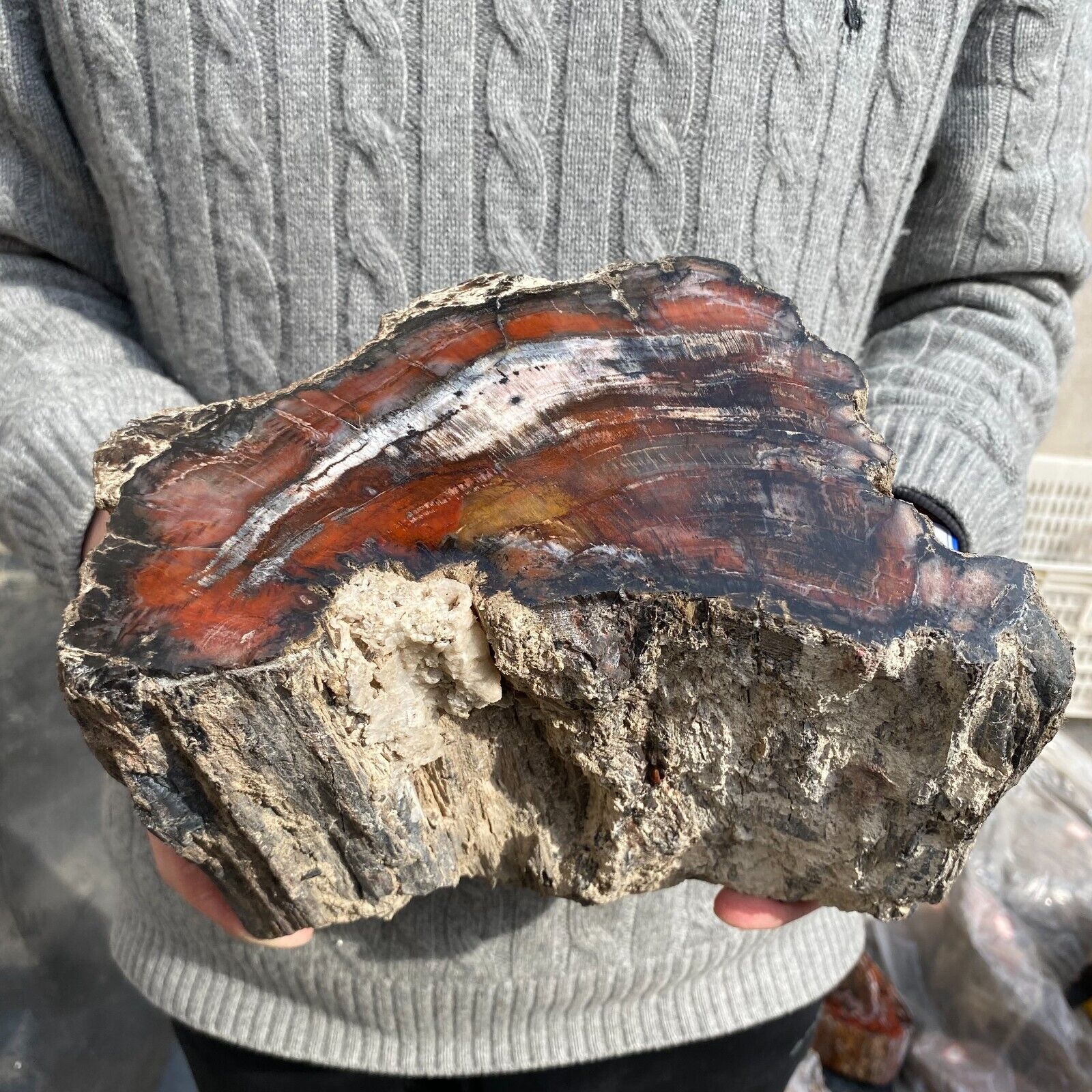 19lb Rare Natural petrified wood rough silicified wood mineral specimen healing