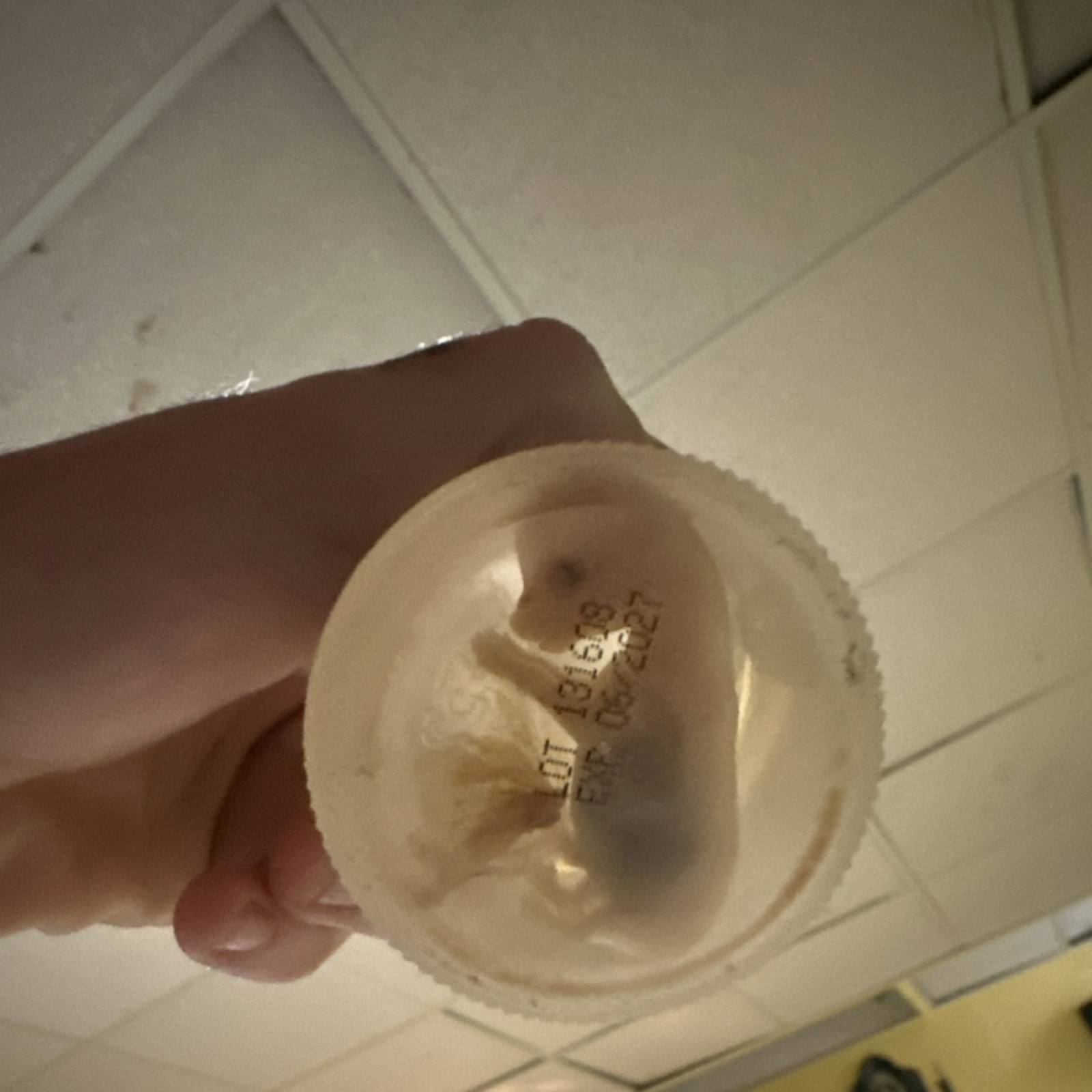  oddities. 100% real wet specimen. 