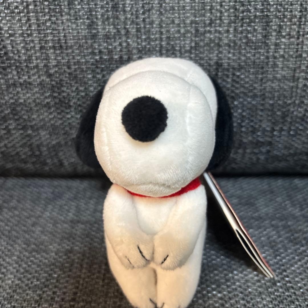 Peanuts Snoopy Chokkorisan Plush Toy Charlie Brown Official Character Gift
