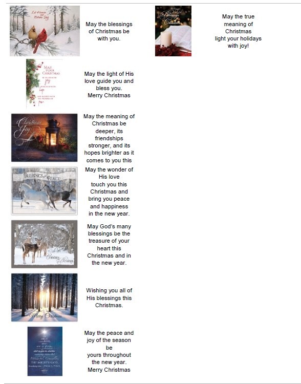 Card-Boxed-Shared Blessings-Christmas-Christmas Blessings/Large Assorted (Box