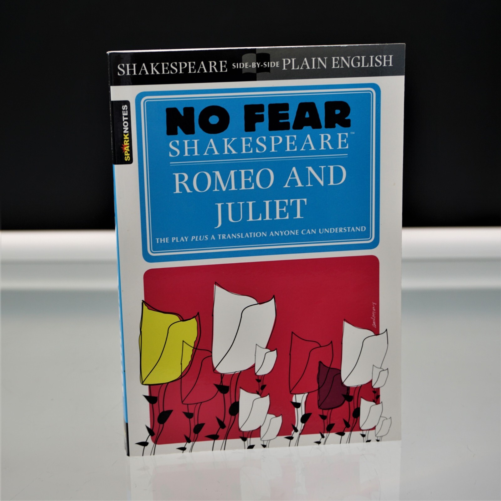 No Fear Shakespeare Romeo and Juliet by William Shakespeare and SparkNotes 2003