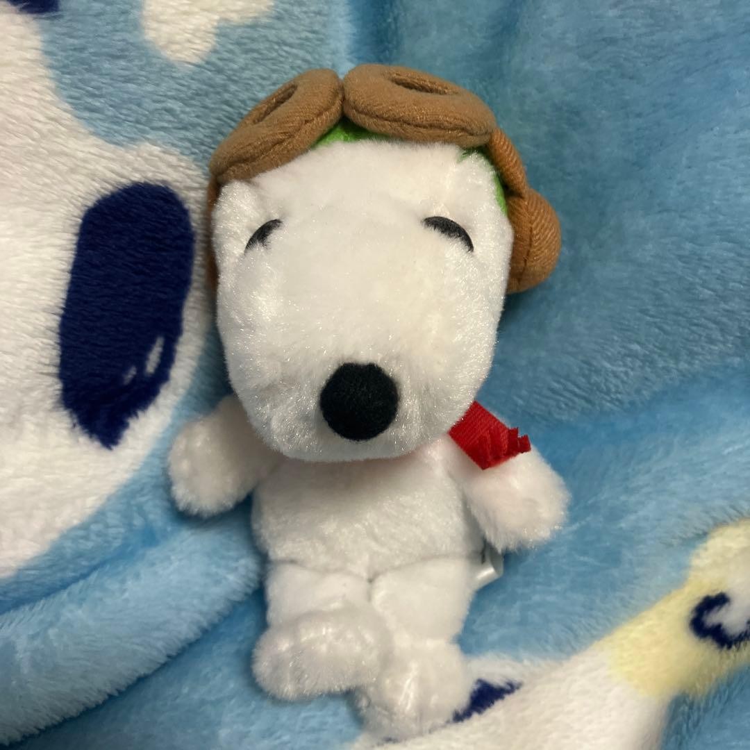 Snoopy Peanuts Mascot Keychain Figure Official Licensed Toy Character Accessory