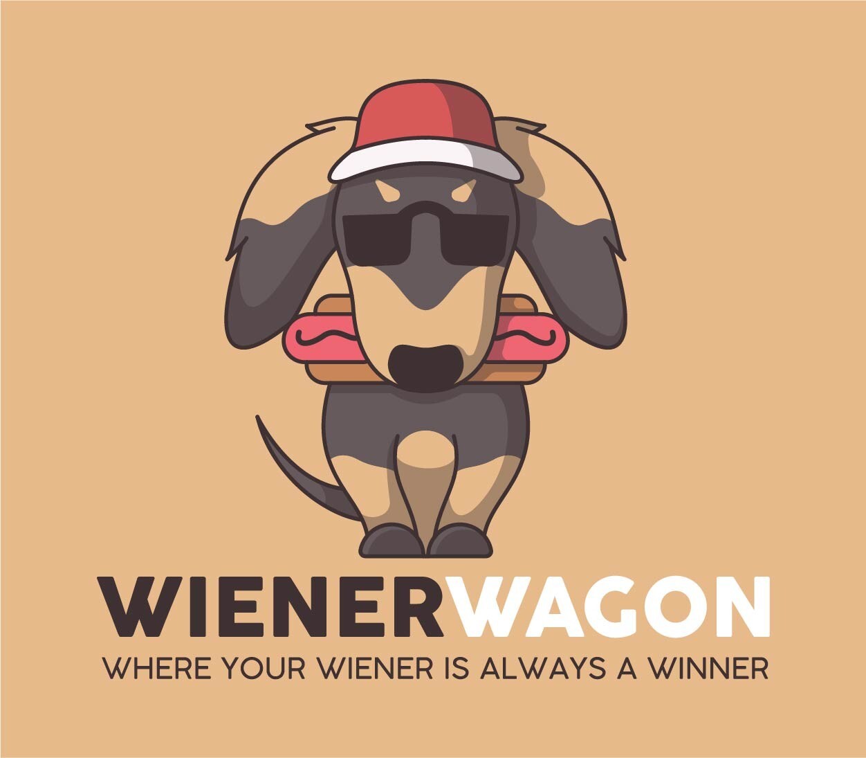 Professional Custom Logo Design + FREE Source File + Copyrights + Revisions