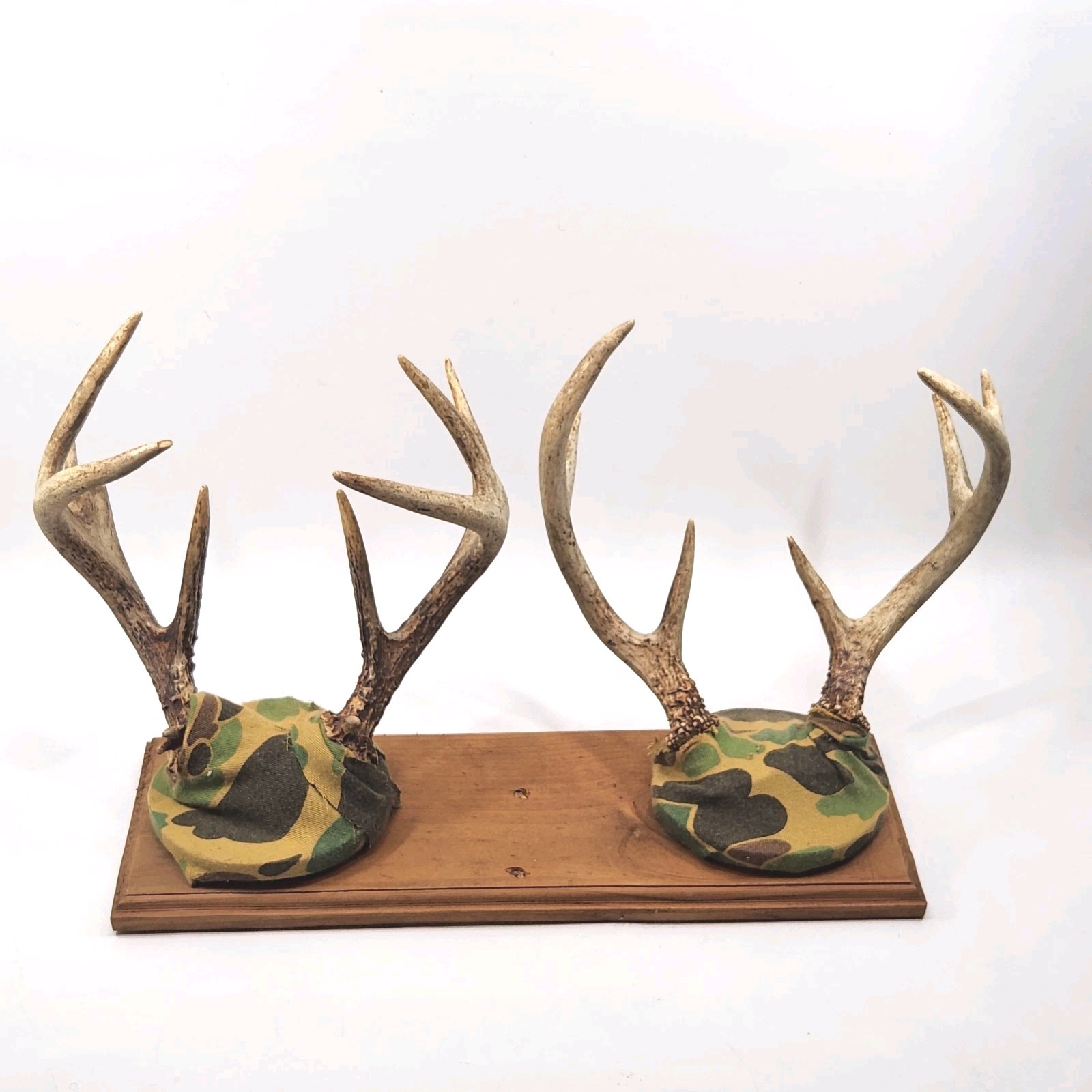 Vintage Whitetail Deer Double Antler Mount Point Cabin Decor Rustic Taxidermy