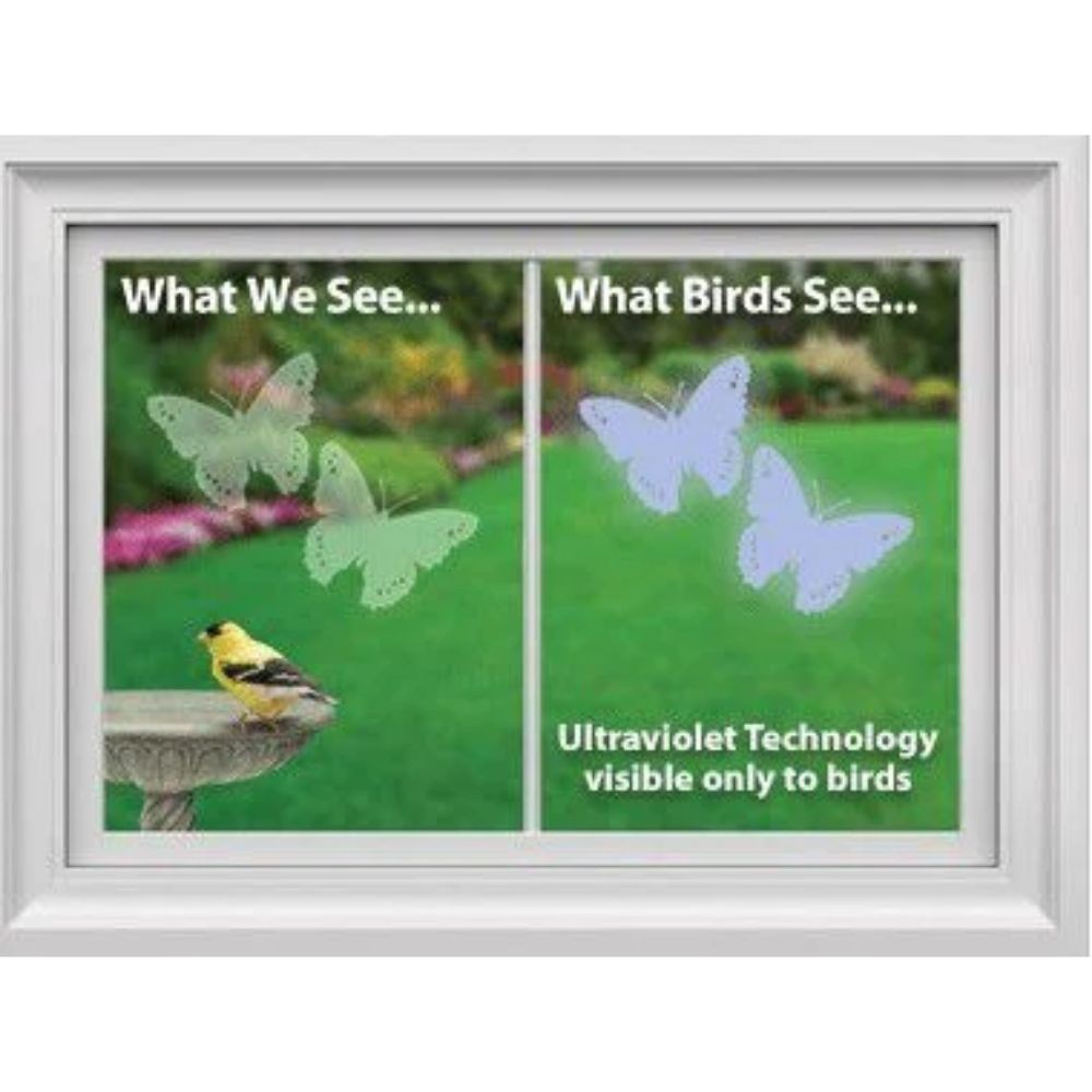 Windowalert Windowalert Aspen Leaf Decals 8 / Envelope