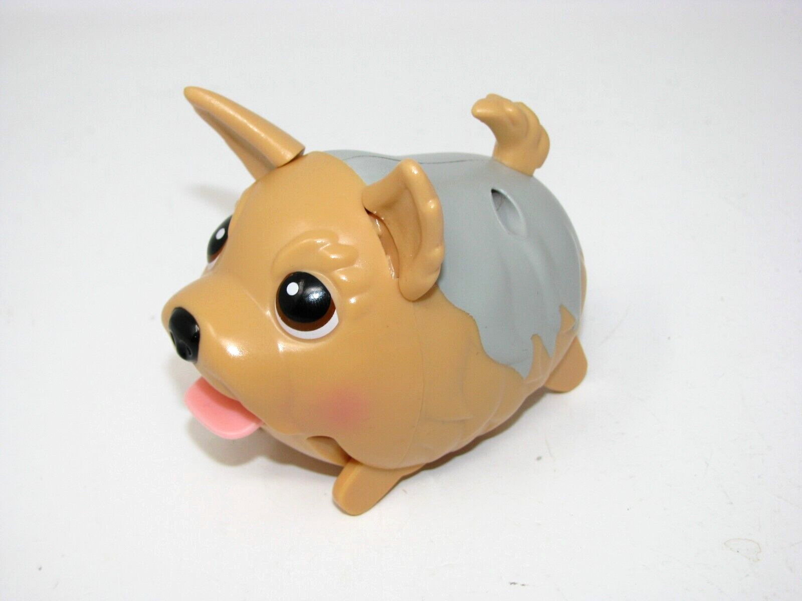 Chubby Puppies and friends Yorkshire Terrier yorkie yorker