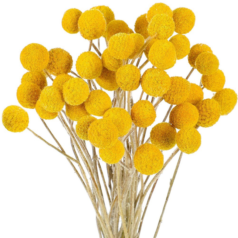 48 Pcs Dried Flowers Dried Craspedia Flowers Fake Silk Dried Flower W9P92589