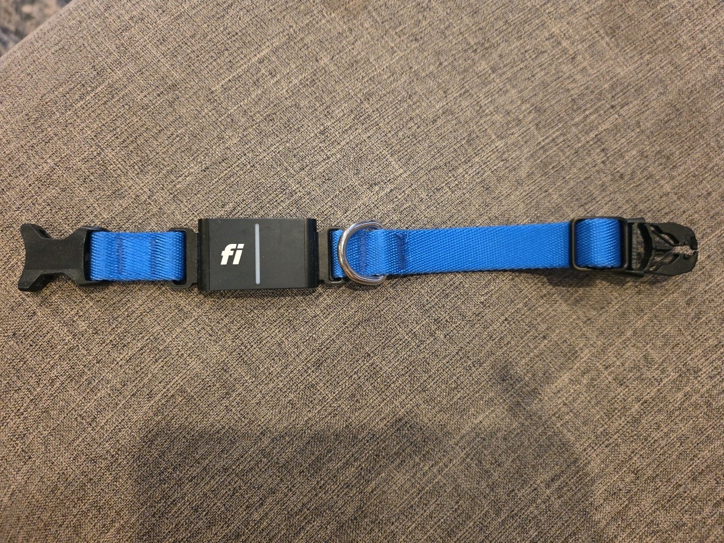 Fi Series 3 GPS Dog Tracker & Monitor. Collar Included. Base Not Included 