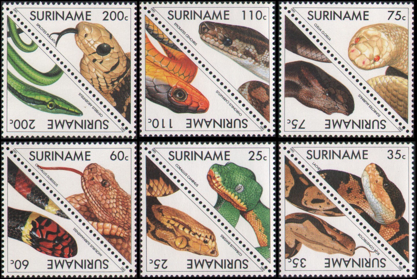 Surinam #900-911 MNH VF