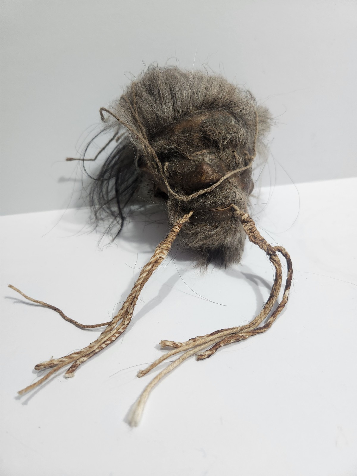 Shrunken Head, Oddities Curiosities,wierd  Medium Used 