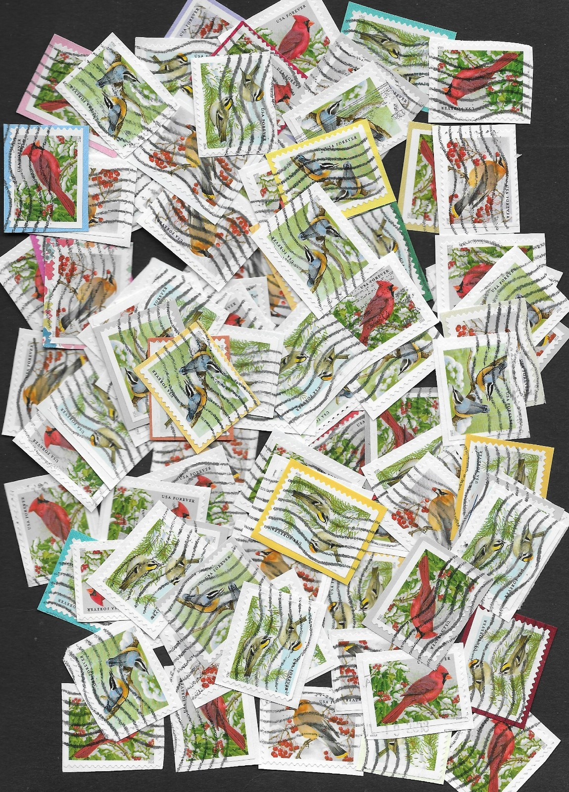 100 Songbirds in the Snow Forever Stamps - USED on Paper #5126-5129