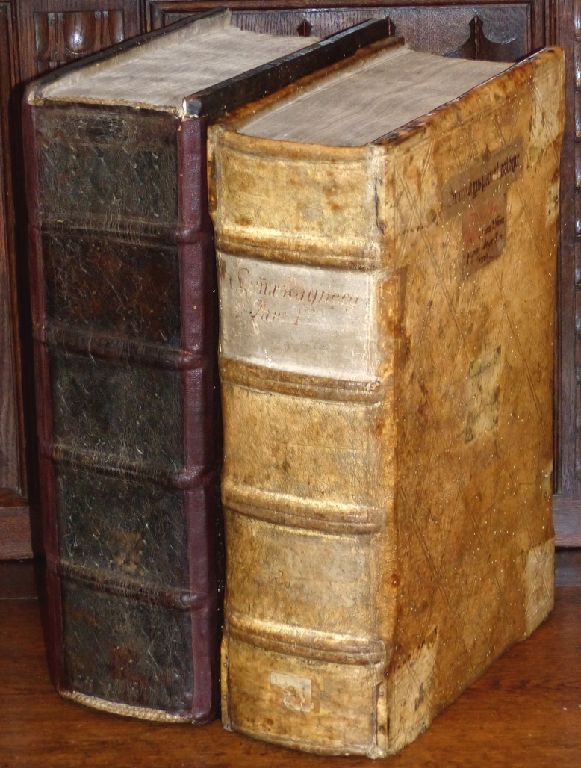 RAINERIUS DE PISIS EARLY INCUNABLE PANTHEOLOGIA AUGSBURG ZAINER ILLUMINATED 1474