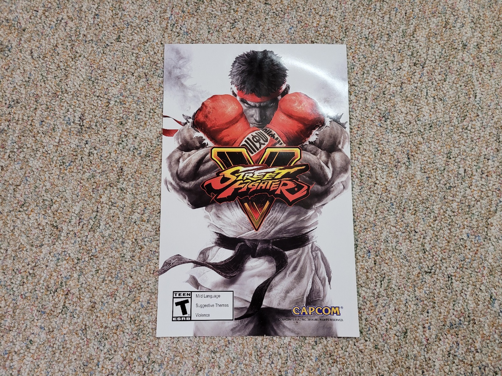 Street Fighter 5 Poster 11x17 Double Sided Capcom 2016 Game Stop Promotion