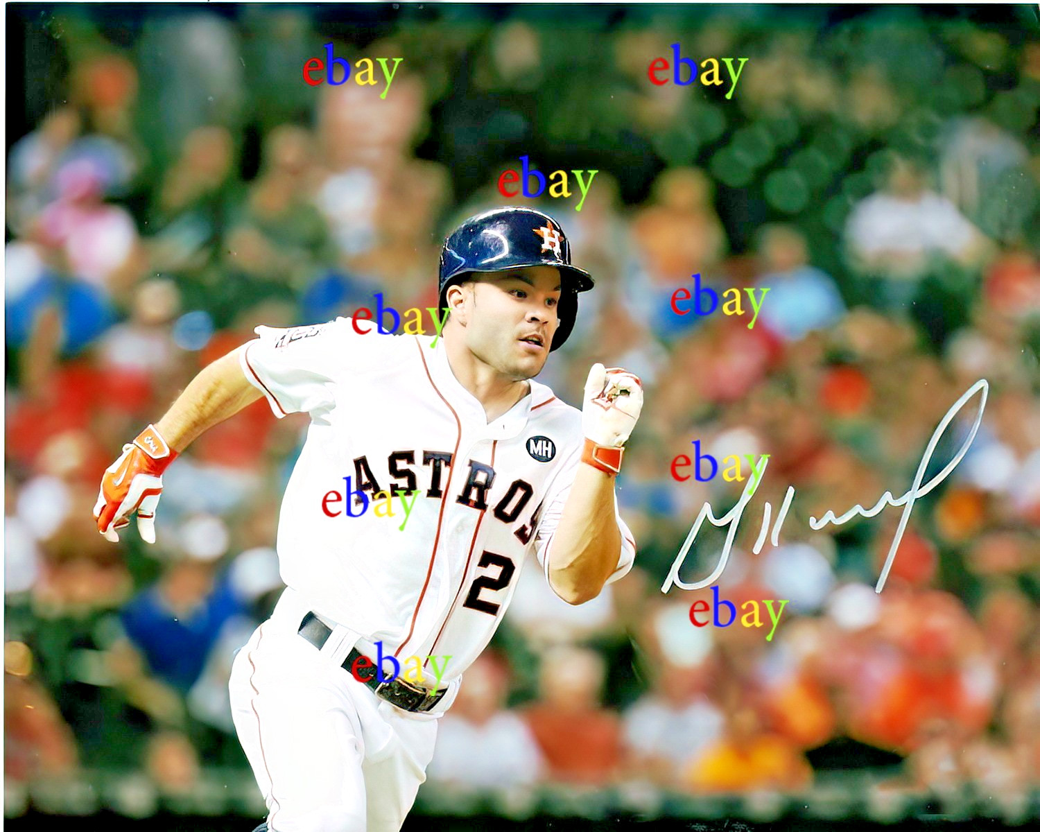 JOSE ALTUVE HOUSTON ASTROS 8x10 signed autographed photo reprint