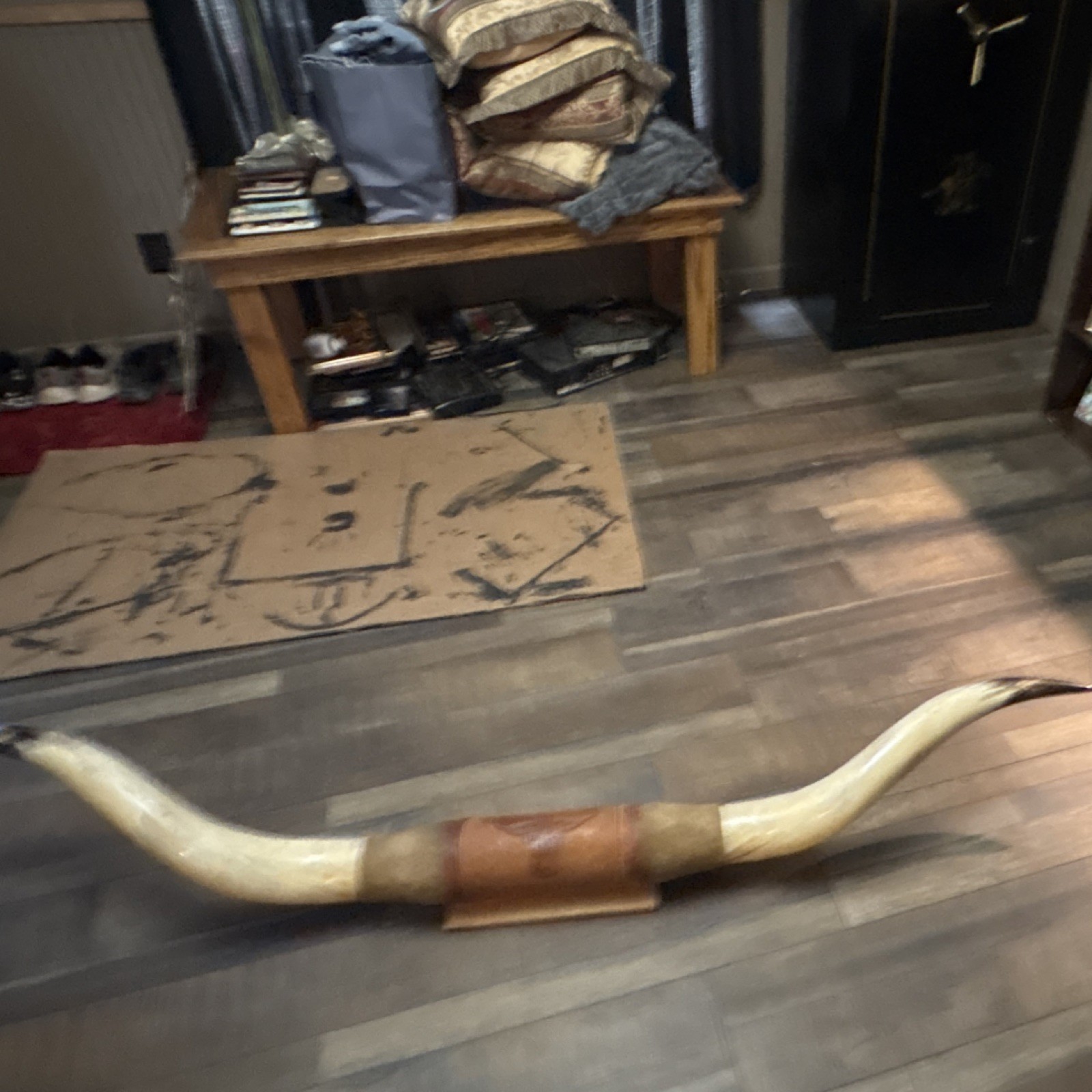Cow Horns & Antlers Taxidermy Display Large Animal Mounted