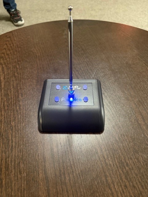 Para4ce Spirit Pod and Rem Pod