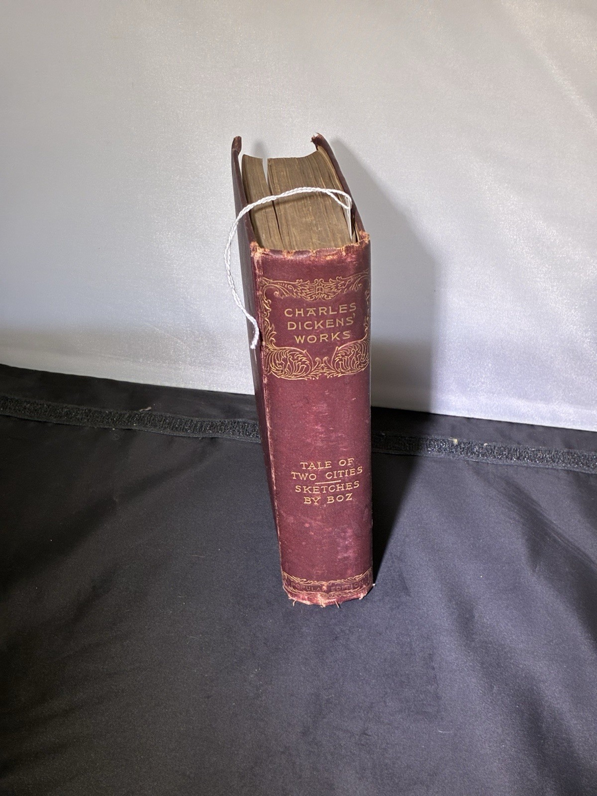 Charles Dickens Works Globe Edition A Tale Of Two Cities Hard Times  1873 "NICE 
