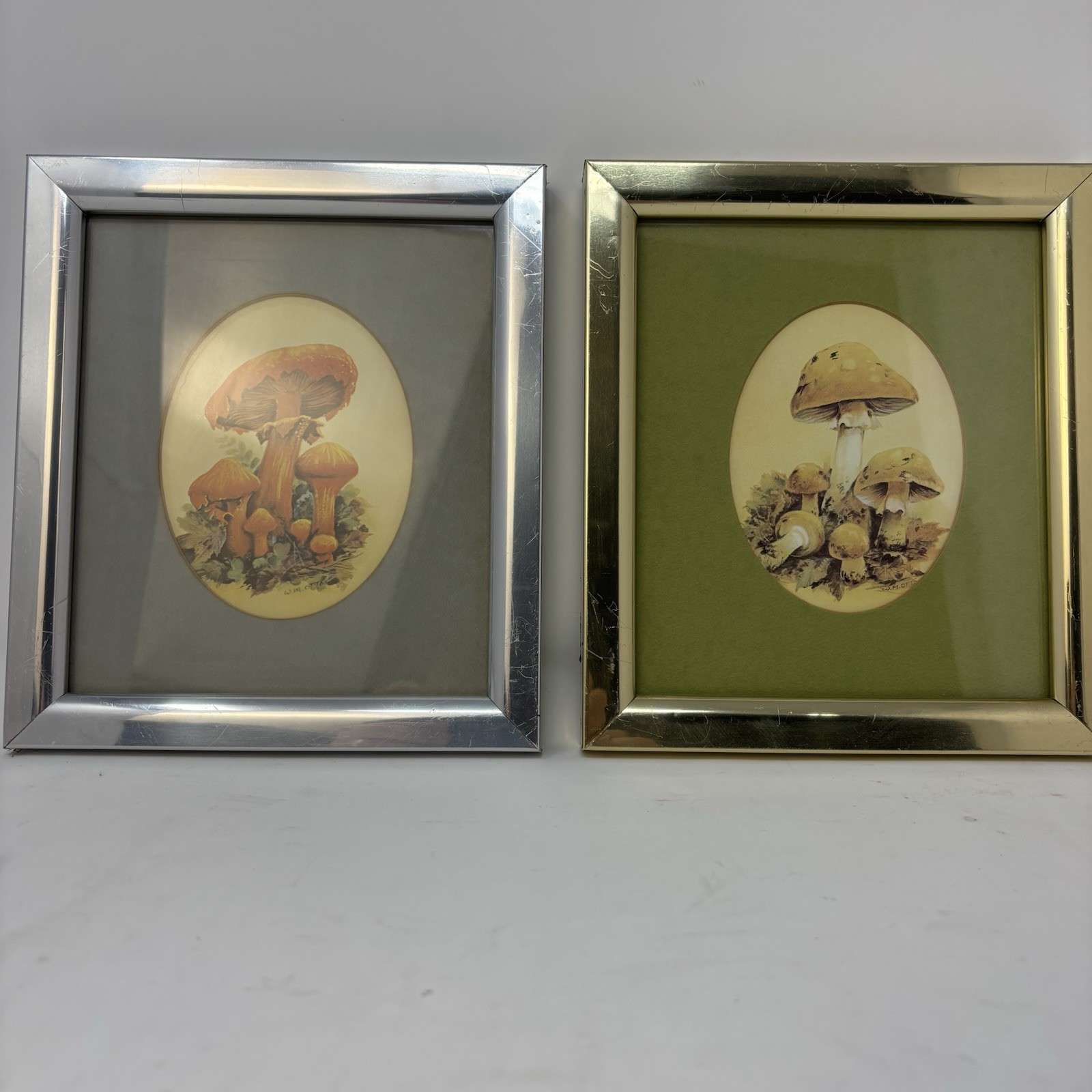 VTG MCM 1970s Mushroom Wall Art Print W.M. Otto Frame Psychedelic Cottagecore