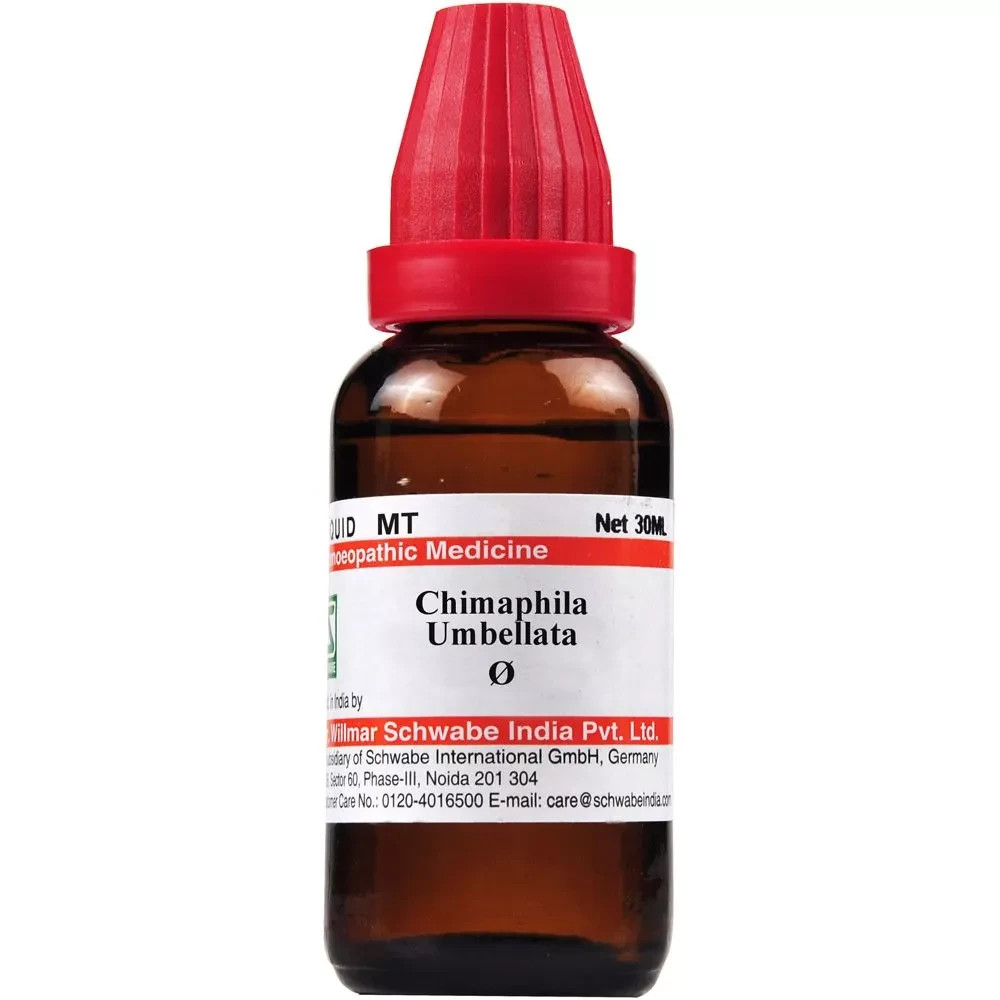 Dr Willmar Schwabe  Chimaphila Umbellata Mother Tincture Q 30ml Free Shipping