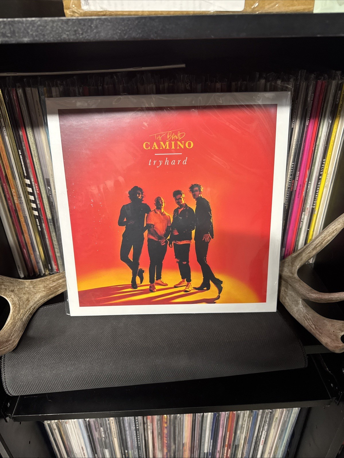 SEALED - THE BAND CAMINO "TRYHARD" NEW! WHITE VINYL, DAPHNE BLUE! OUT OF PRINT!