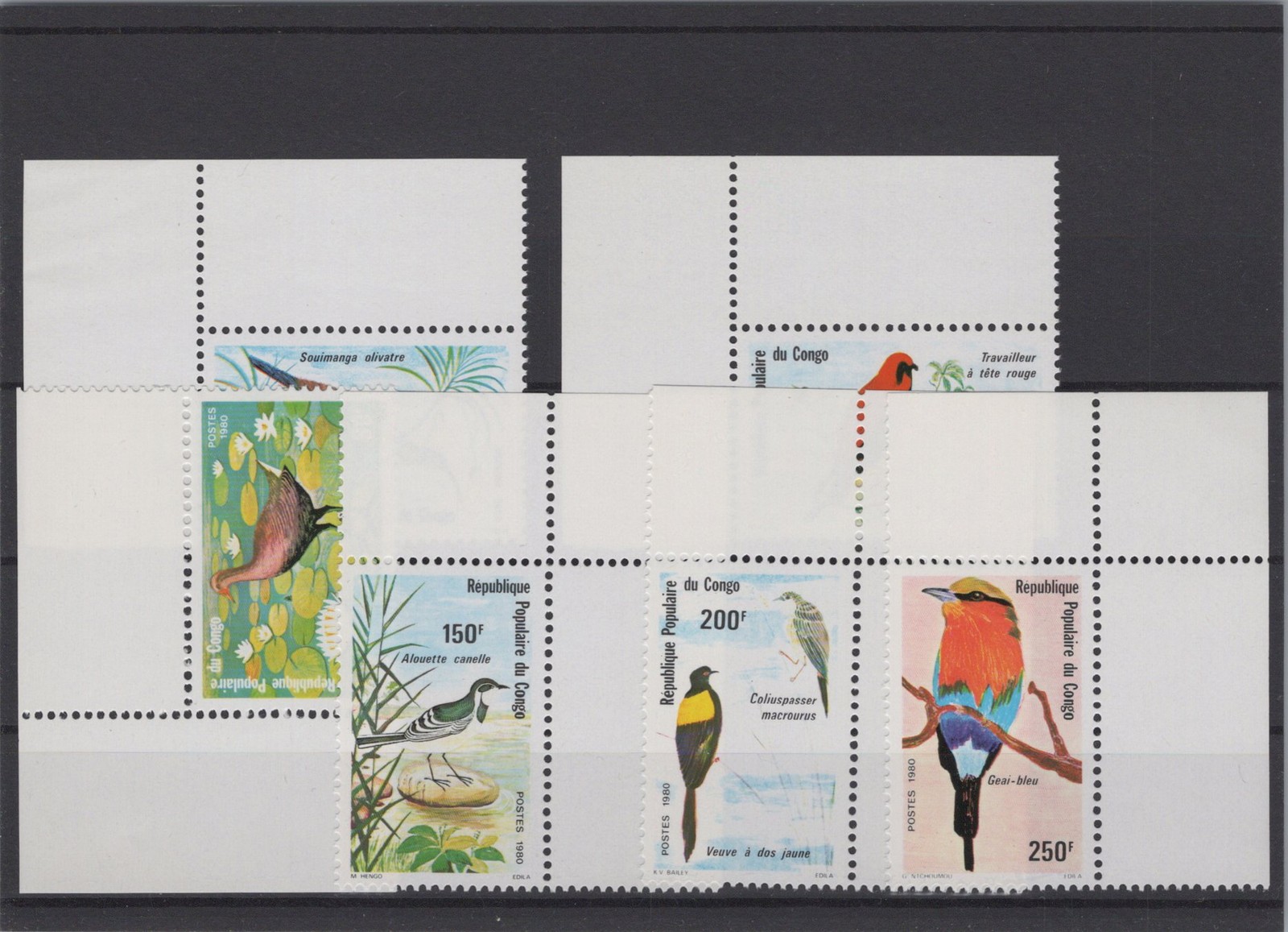 Congo 1980 Birds XF Mint Never Hinged