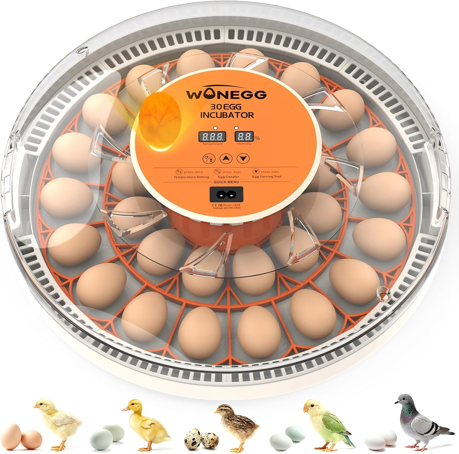30-Egg Incubator with Auto Turning, Temp Control, Humidity Display & Candler