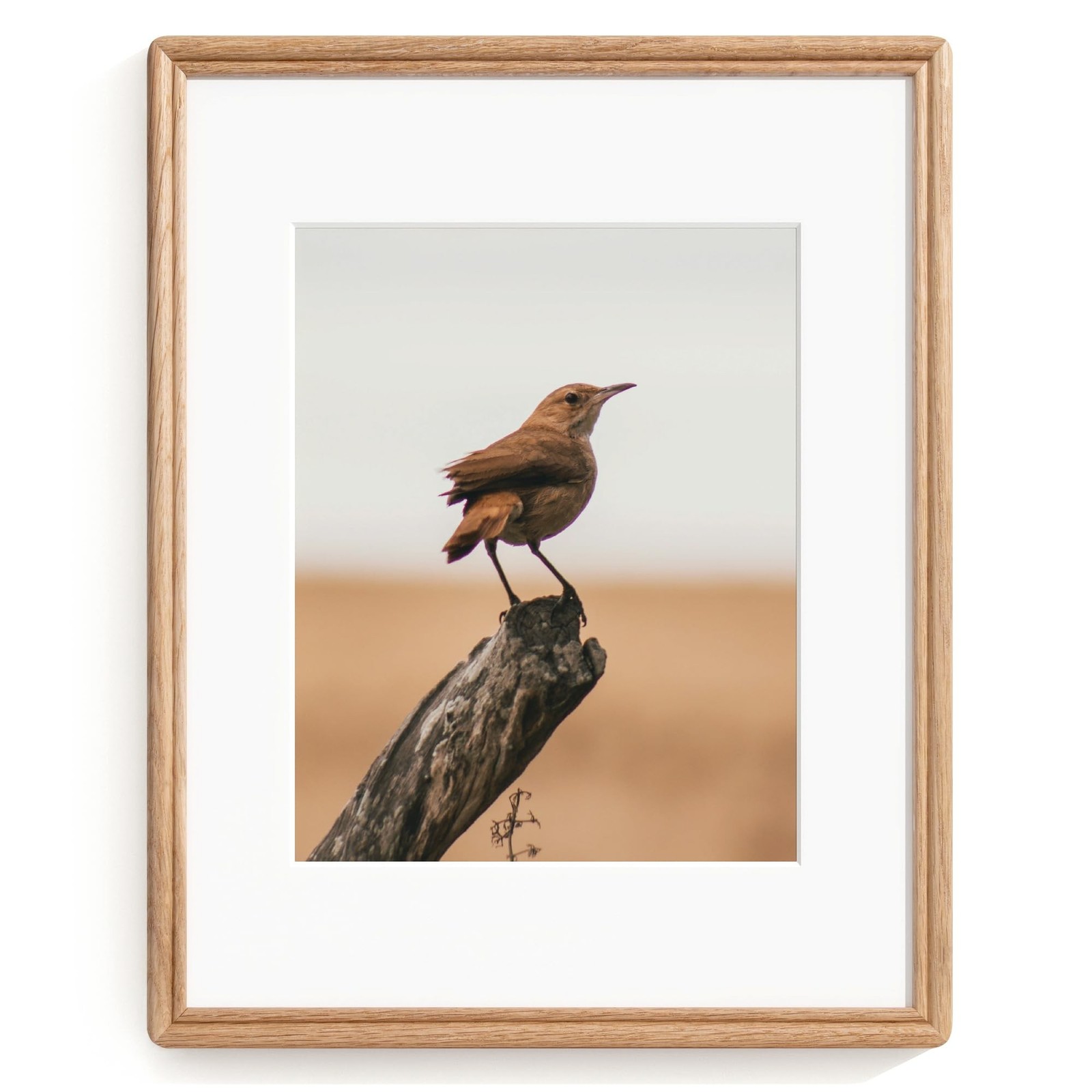 11X14 Picture Frame, Natural Solid Oak Wood Picture Frame with High Tempered ...