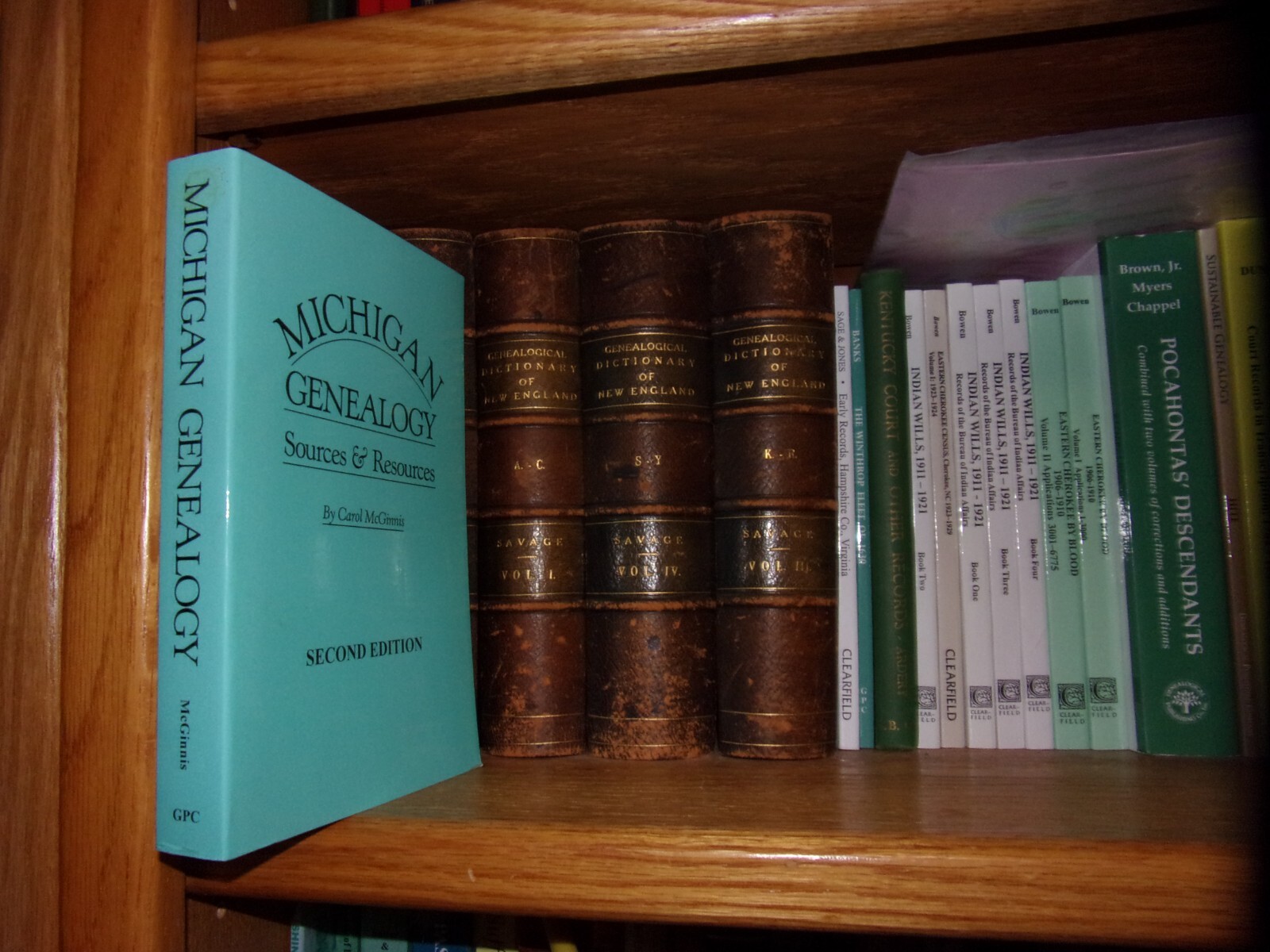 Michigan Genealogy Sources And Resources