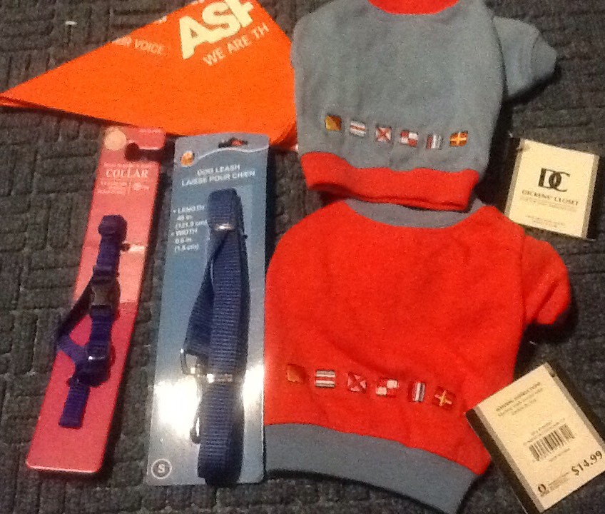 Very small (toy) dog gift pack