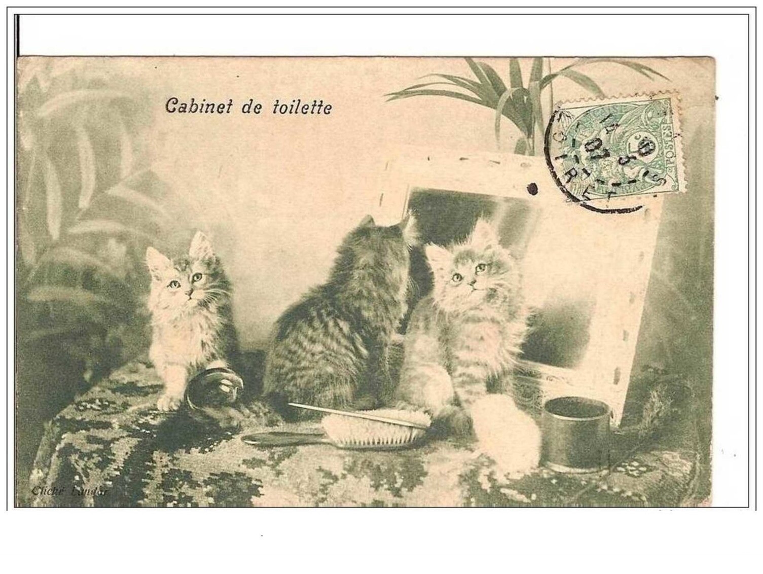 Cats. Vanity Cabinet. Kittens Grooming Themselves