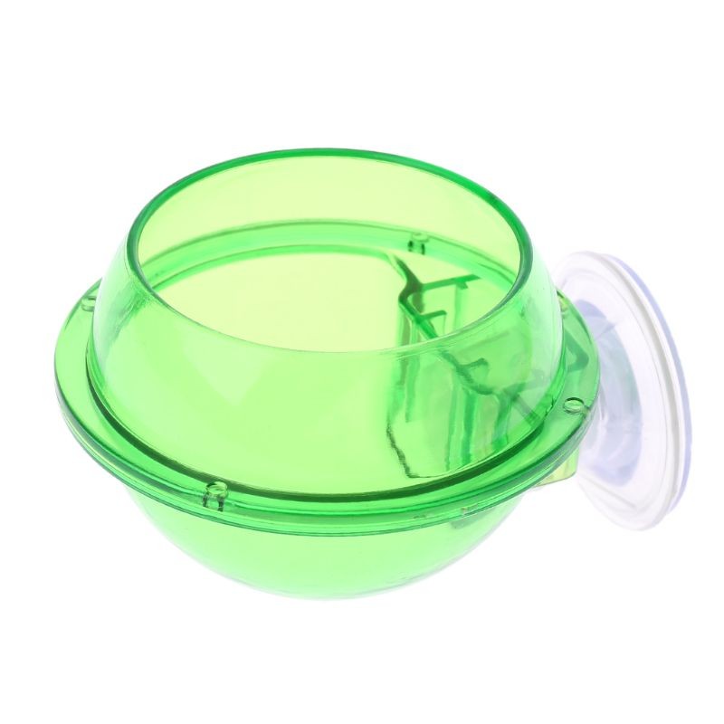 Anti-Escape Reptile Feeder Bowl Drinker Bowl for Iguana Snake Lizard