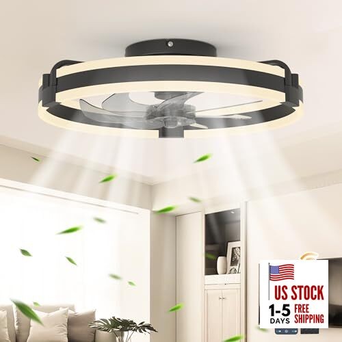  20 Inch Ceiling Fans with Lights and Remote, Modern Low Round Shade-Black