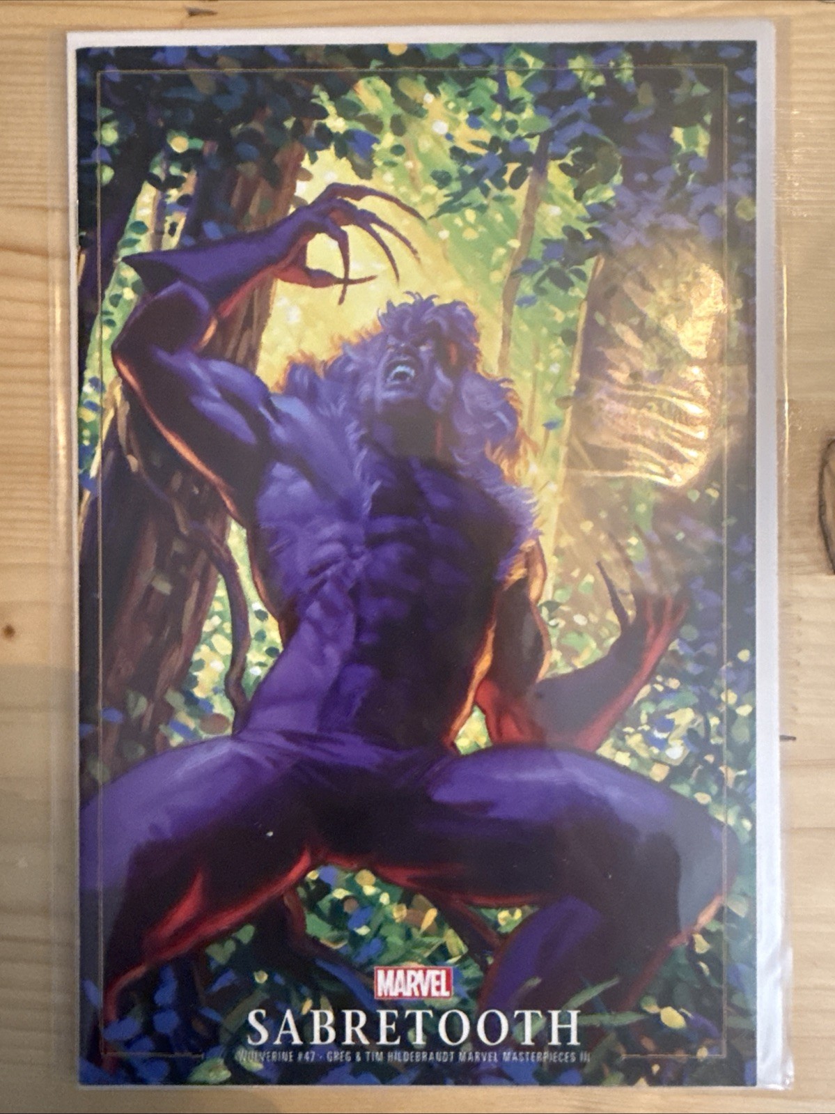 Wolverine #47 Hildebrandt Masterpieces III Variant Marvel 2024 VF/NM Comics