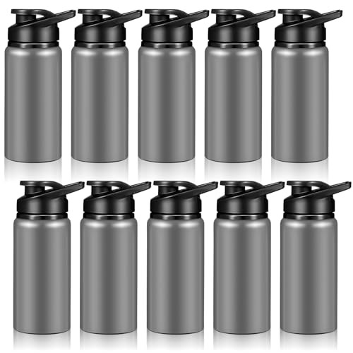  10 Pieces Reusable Aluminum Water Bottles Bulk Outdoor Sports 13.5 oz Gray
