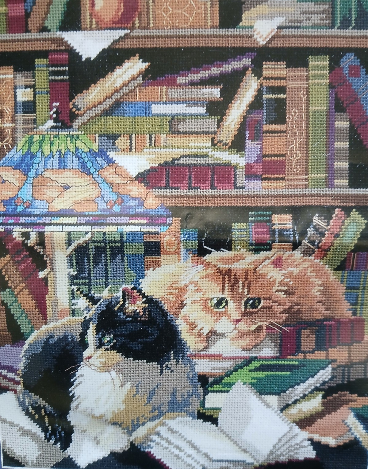New Open Bucilla Needlepoint 1995  "Friends of the Library" Kit/2 Cats 12 x 16"