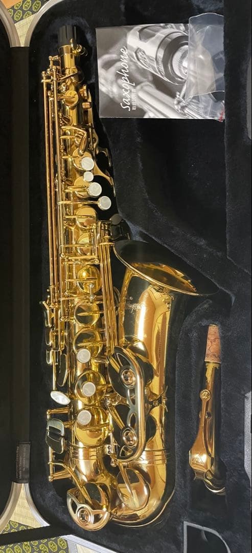 Antigua Alto Saxophone Standard GL