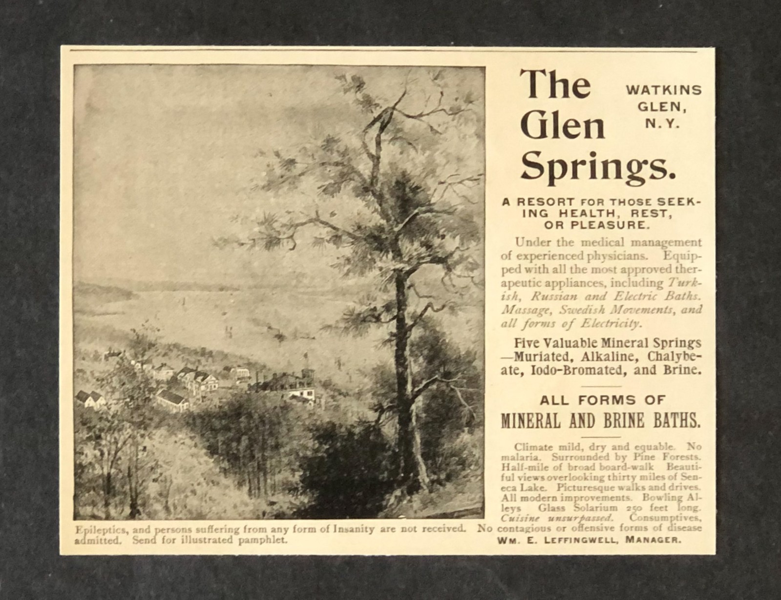 1894 Glen Springs Quack Medicine Advertisement Electric Baths Antique Print AD