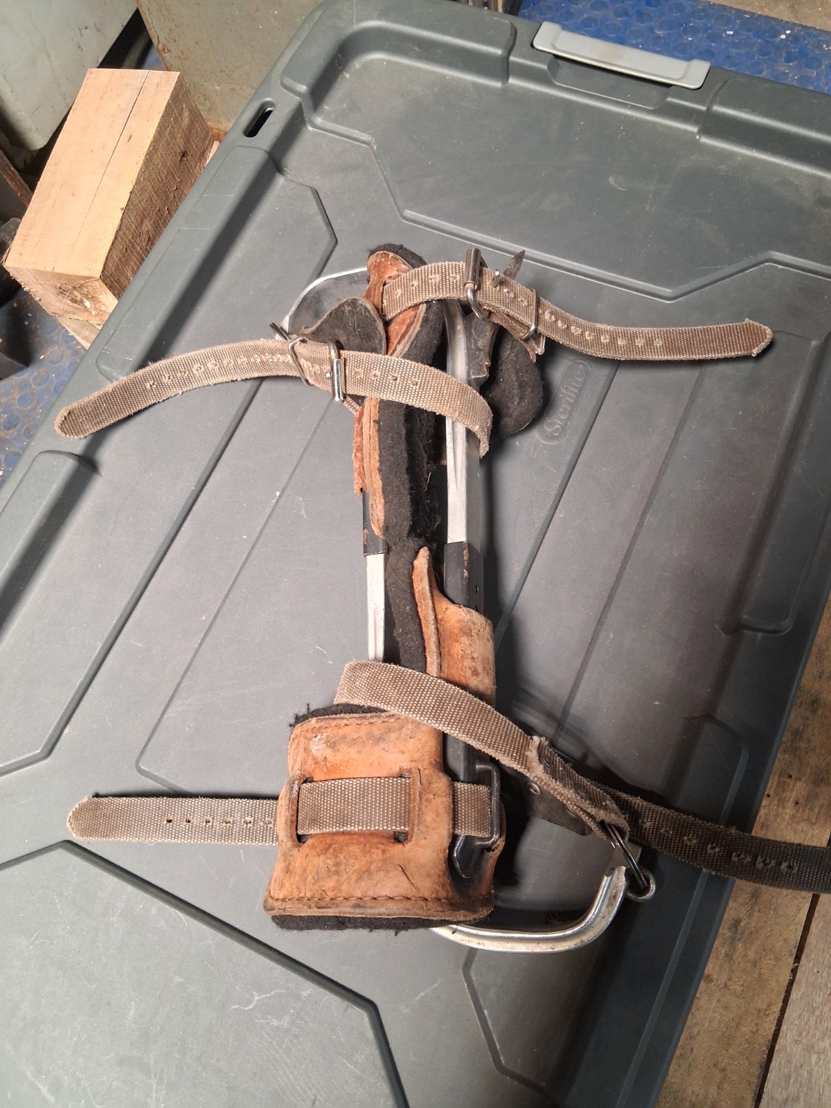 Bashlin BD14B Aluminum Tree Climbing Spikes - 2.75" Tree Gaffs - Lightweight