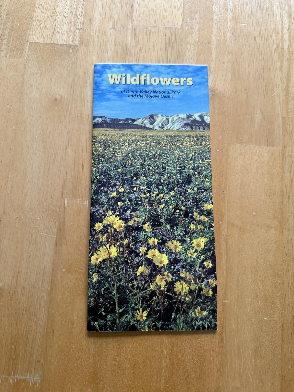 Death Valley National Park Wildflowers Mojave Desert Map Brochure Park Service