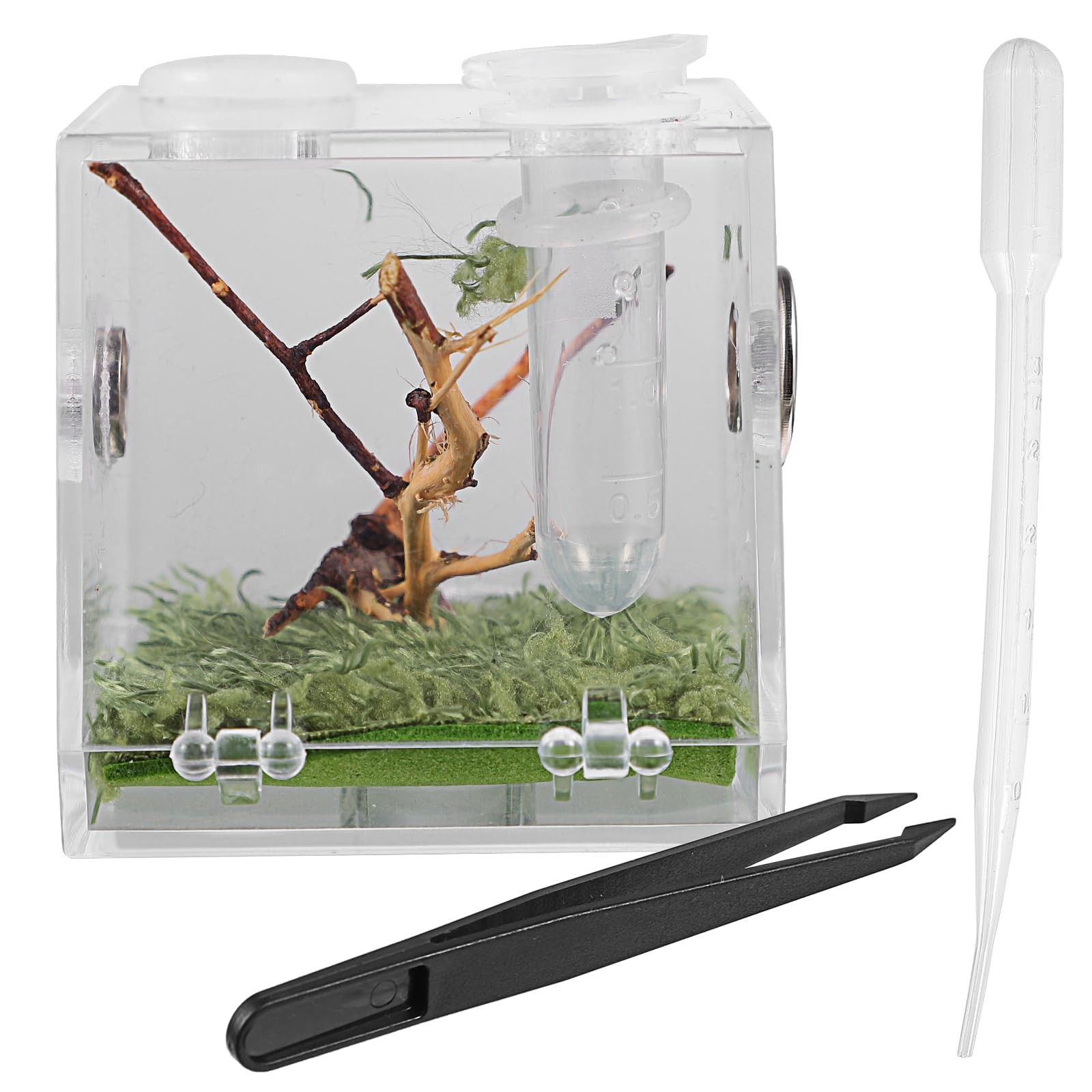 Reptile Breeding Box Dropper Forceps 2.04 Inch Transparent Jumping Spider Case