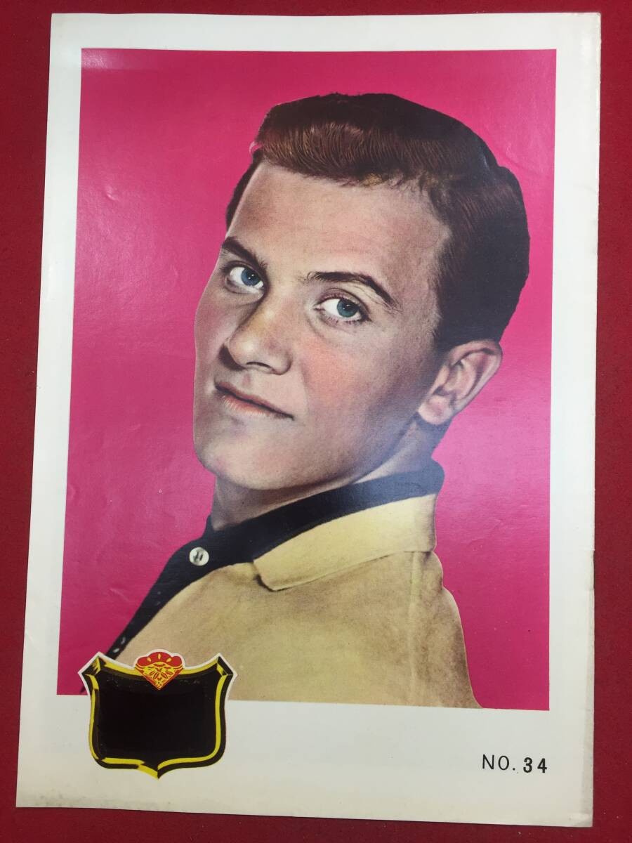 10456 Love Candidates A4 size pamphlet Christine Charles Pat Boontommy Sun