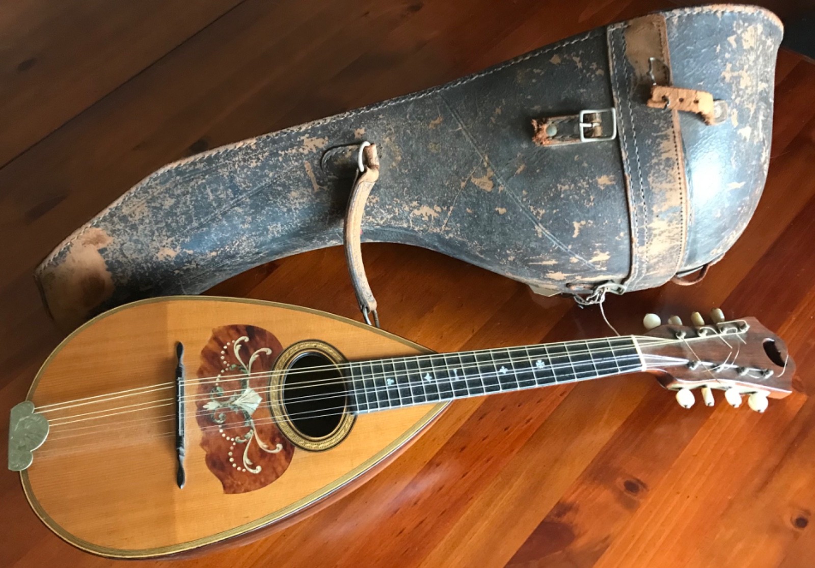 1916  C.F.  Martin Bowl Back Mandolin in Mint Condition w/case Serial #8470
