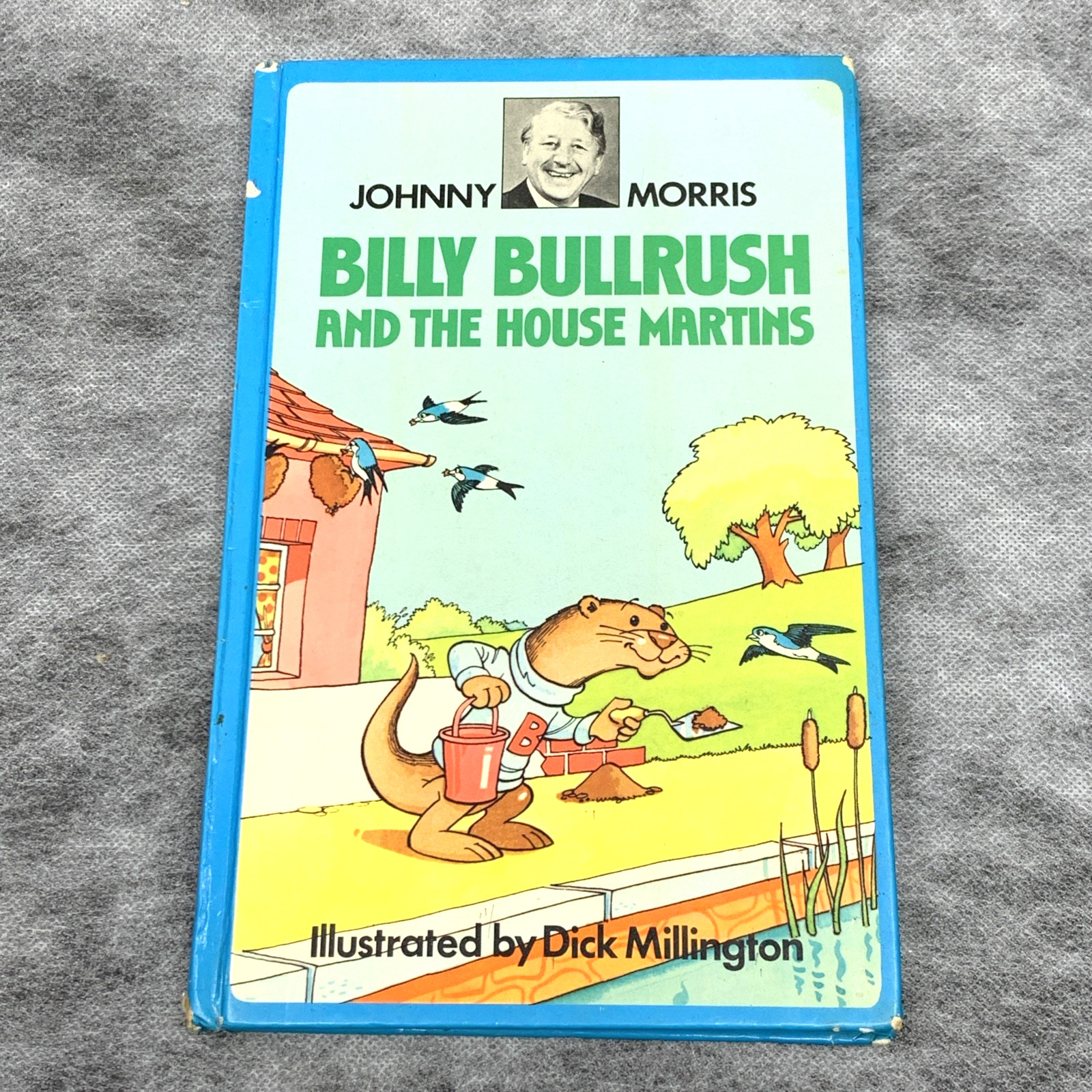 Billy Bullrush and the House Martins by Johnny Morris 1975 1st Edition Hardback